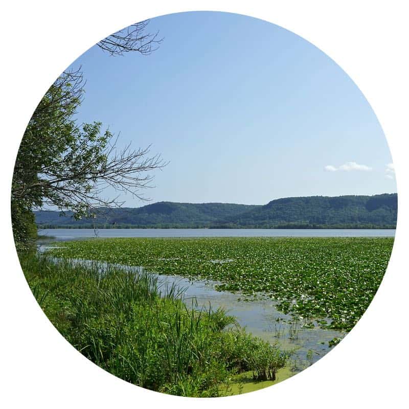 Mississippi River and bluffs from Trempealeau National Wildlife Refuge in Wisconsin