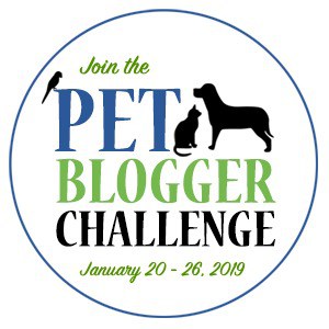 Badge announcing the pet blogger Challenge January 20-26, 2019