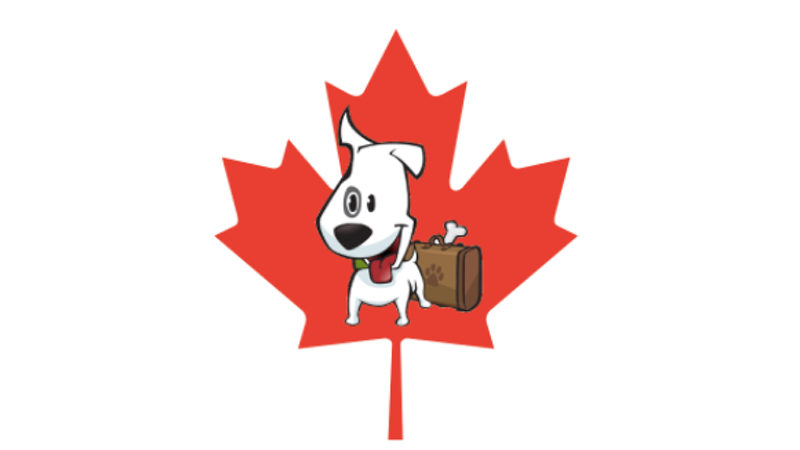 Characterchure of a white dog with bent ear on a red maple leaf background