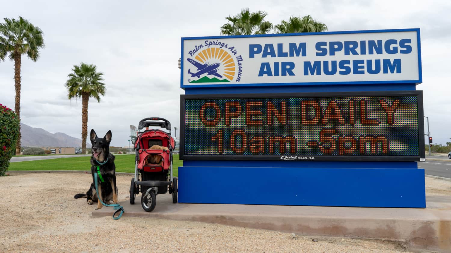 The Pet Friendly Palm Springs Air Museum