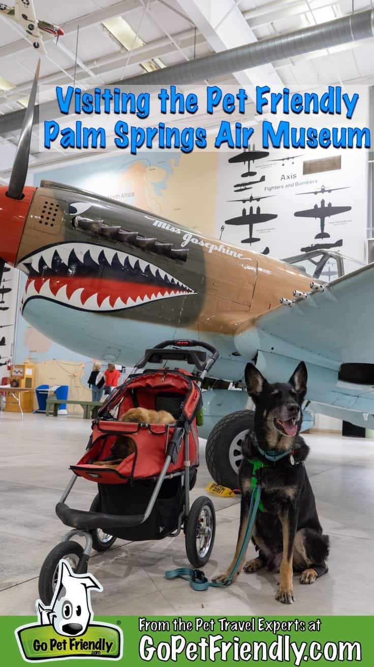 Ty and Buster, the GoPetFriendly.com dogs, in front of a plane at the pet friendly Palm Springs Air Museum in Palm Springs, CA