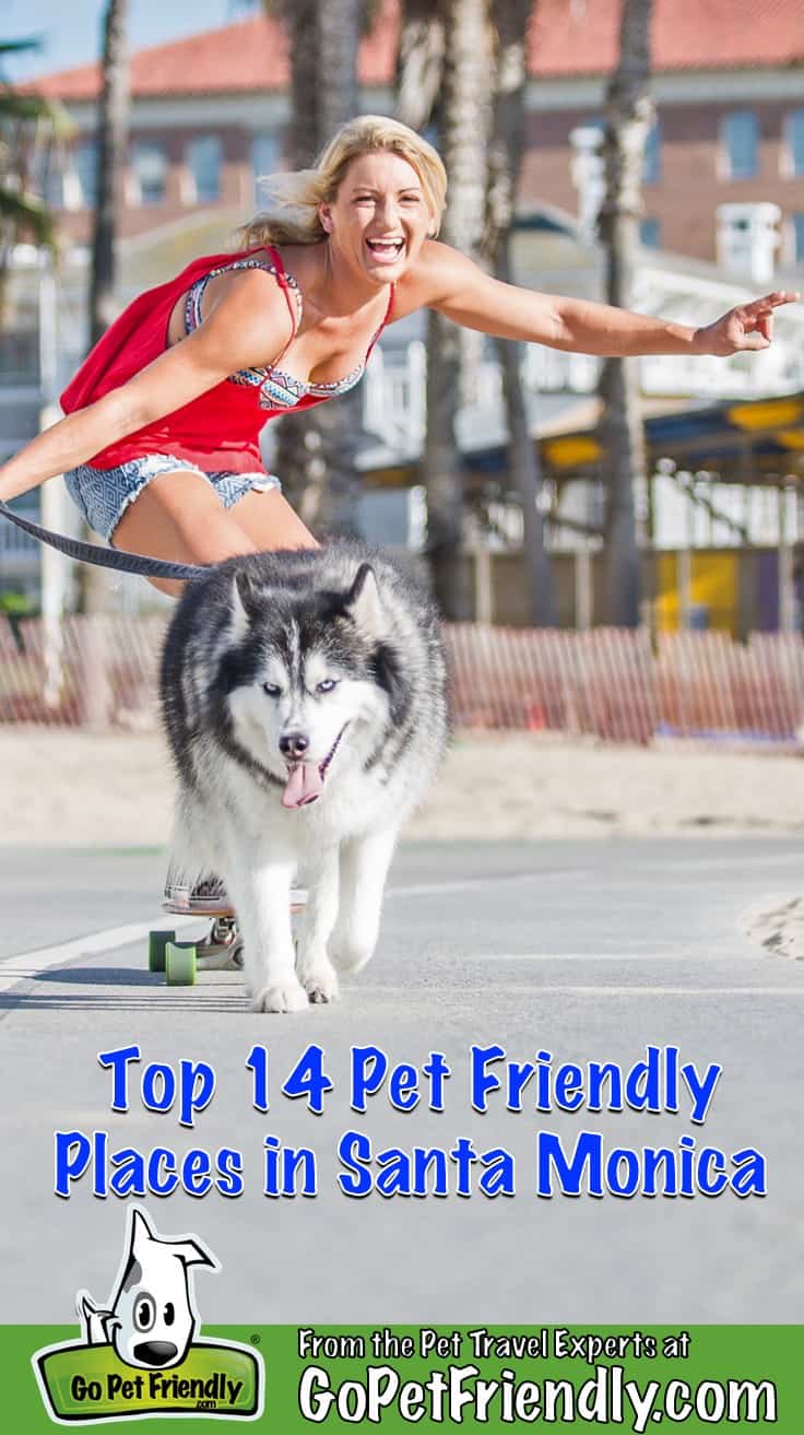 Woman on a skateboard with her husky in pet-friendly Santa Monica, CA