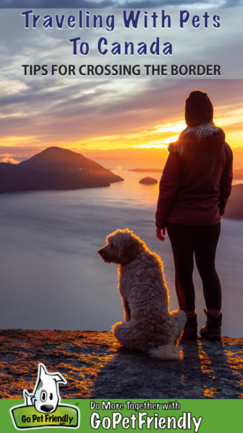 Woman and dog on a Canadian mountaintop at sunset