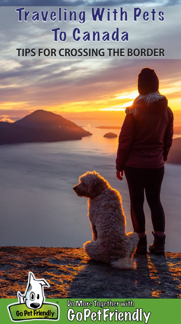 what do you need to take a dog across the canadian border