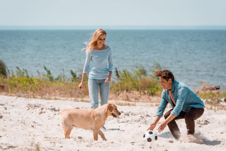 Couple playing with puppy on a pet friendly beach in Florida