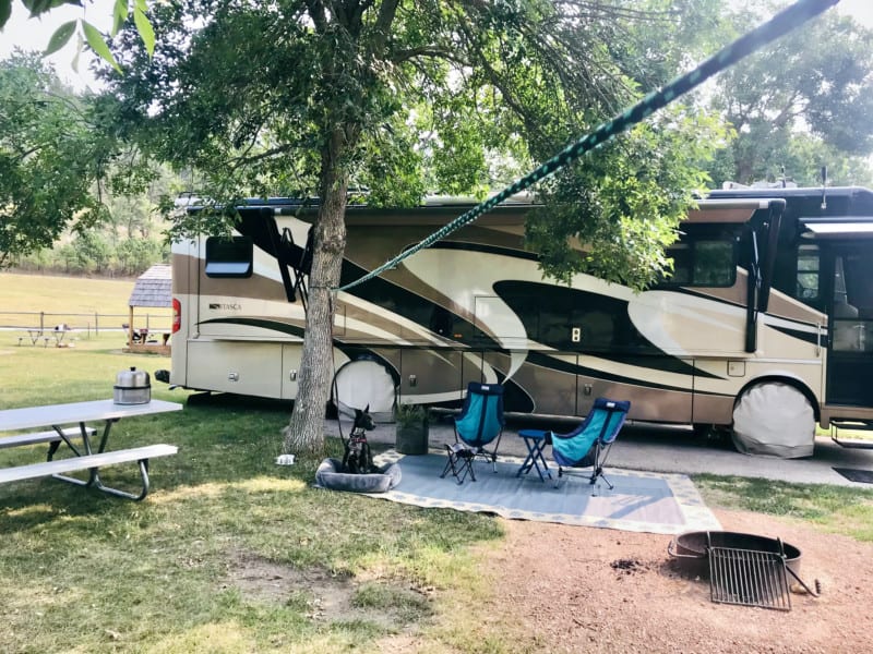 Brindle dog sitting in a campground on a zip line