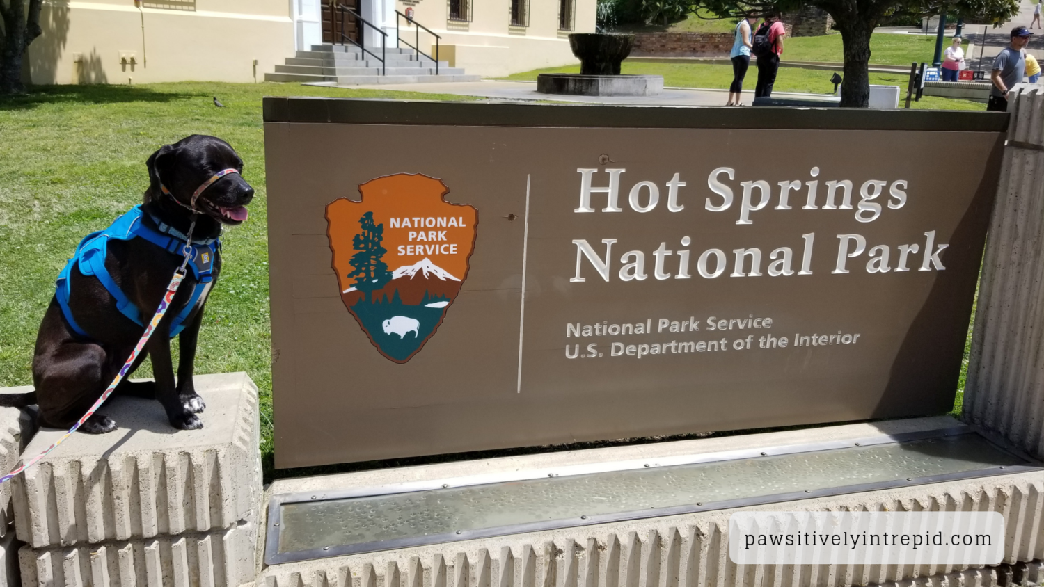 Dog sitting next to the park sign at pet friendly Hot Springs National Park in Arkansas