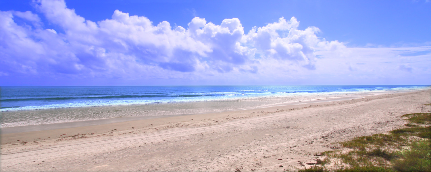 The amazing pet friendly beach along the east coast of Florida