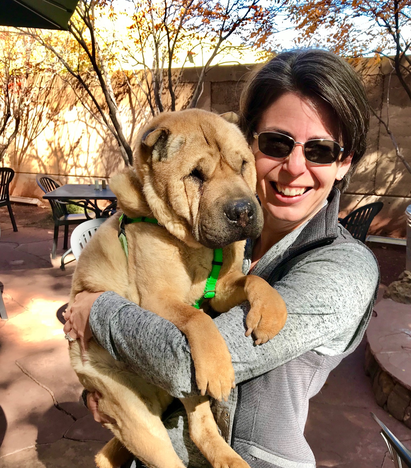 Amy from GoPetFriendly.com holding Ty, the blind and deaf Shar-pei dog