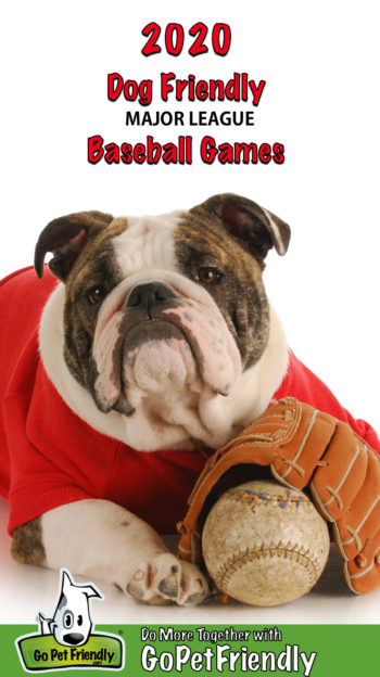 Bulldog in a red t-shirt with a baseball and glove