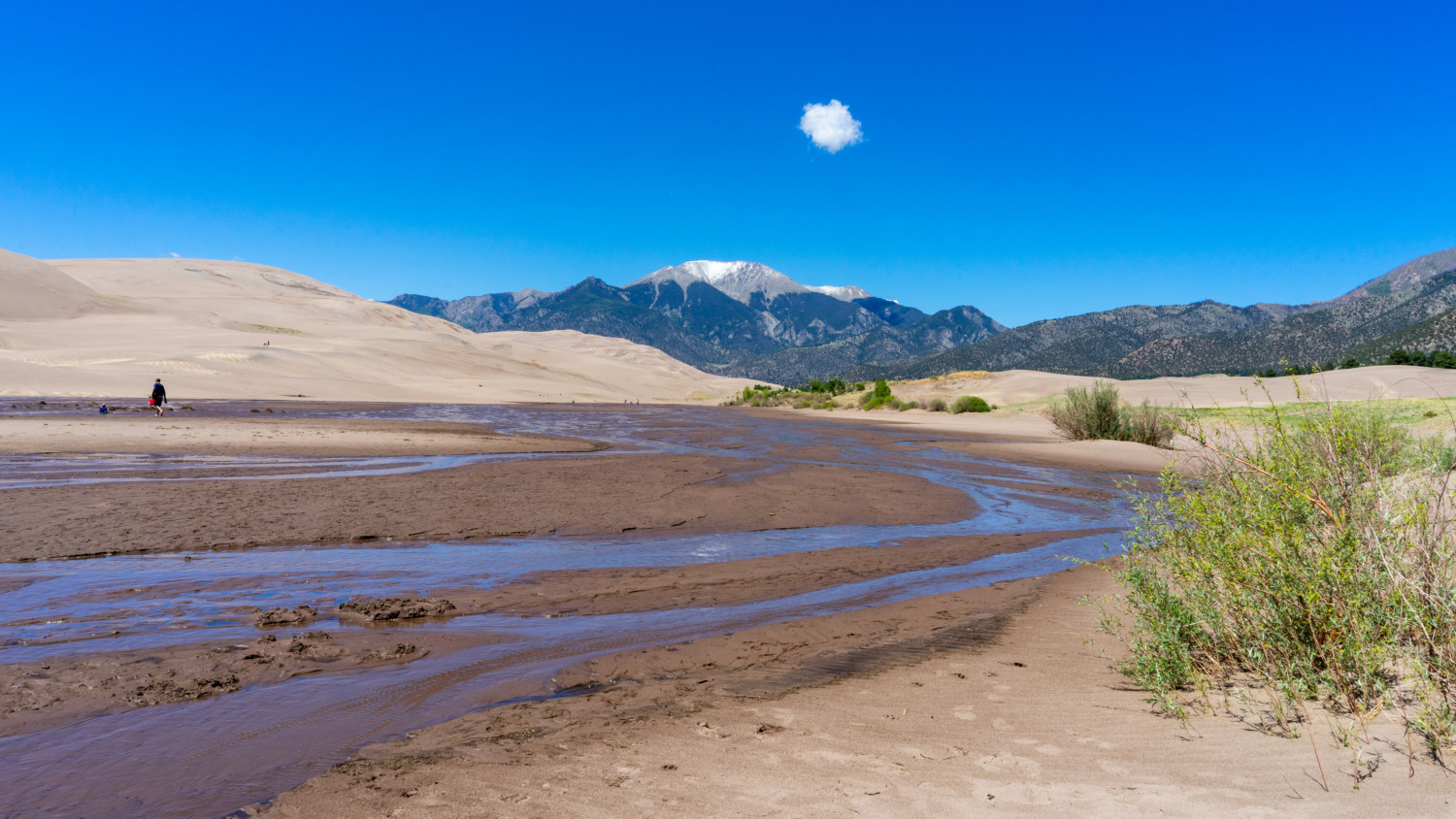 يخلق Medano Creek بيئة شاطئية صديقة للحيوانات الأليفة في حديقة Great Sand Dunes الوطنية