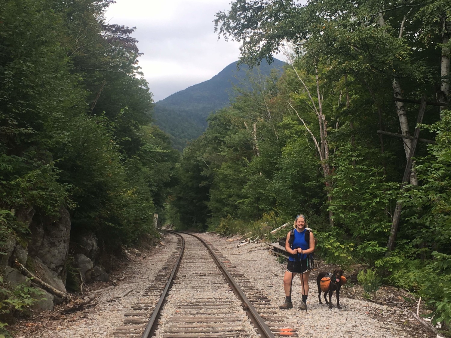 Dog and woman hiking along train tracks on the pet friendly Appalachian Trail in New Hampshire