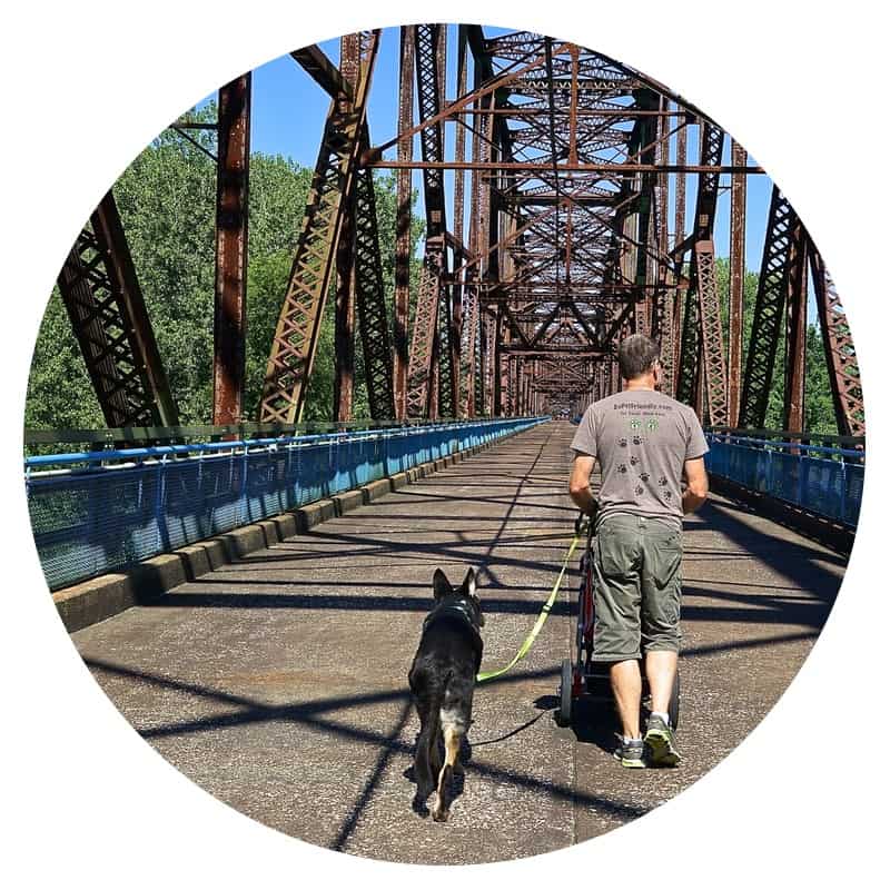 Man and dog walking across Chain of Rocks Bridge on Route 66 in Illinois