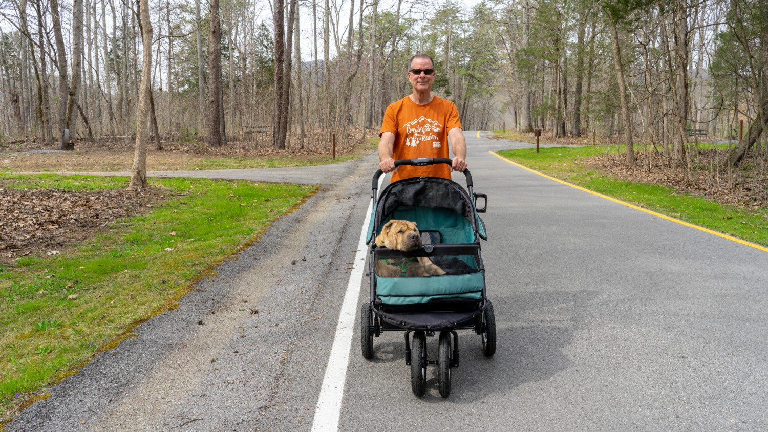 Ty the Shar-pei riding in the Pet Gear No-Zip Double Stroller for dogs