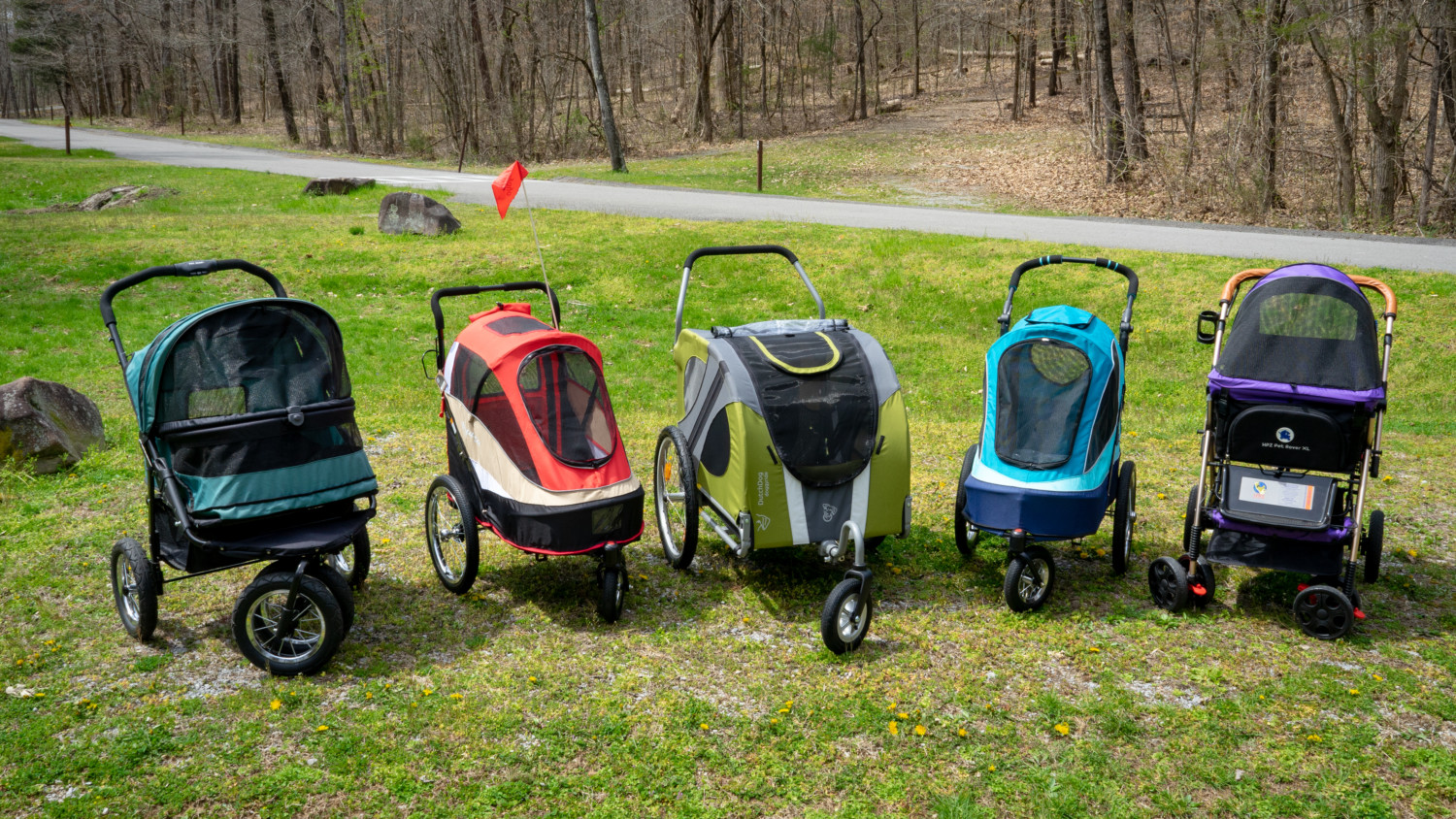 Five dog stroller sitting side by side