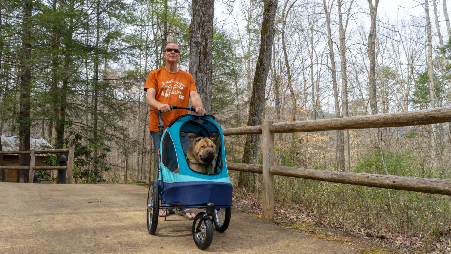 Ty the Shar-pei riding in the Petique All Terrain Pet Jogger stroller for dogs