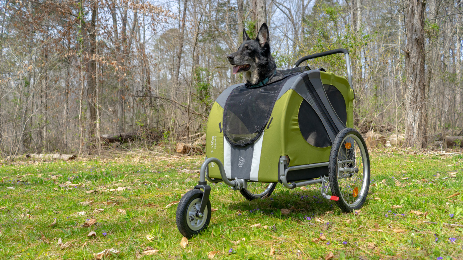 Buster the German Shepherd Dog in a green DoggyRide dog stroller