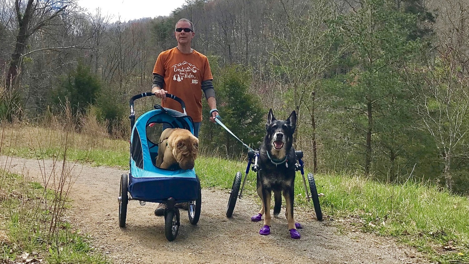 Man, dog in dog stroller, dog in wheelchair on a pet friendly trail