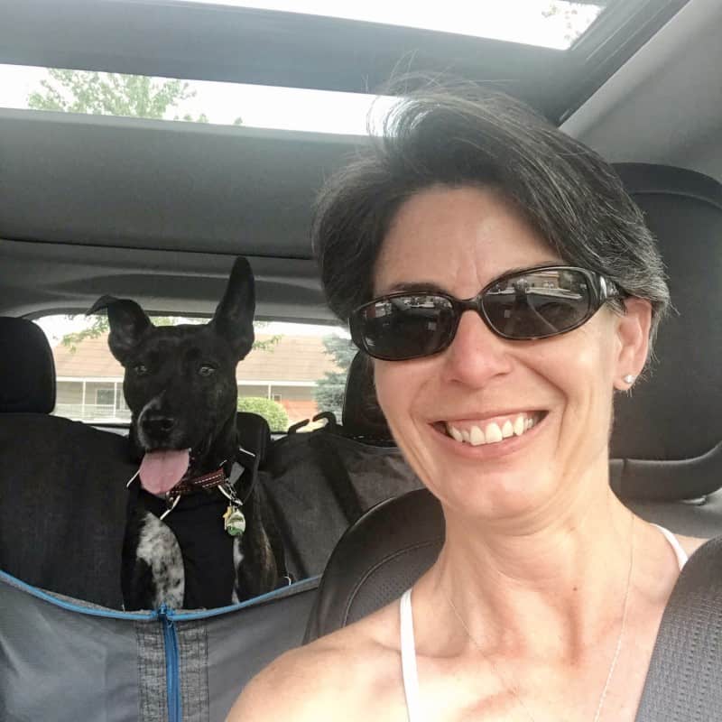 Woman in car with dog in backseat