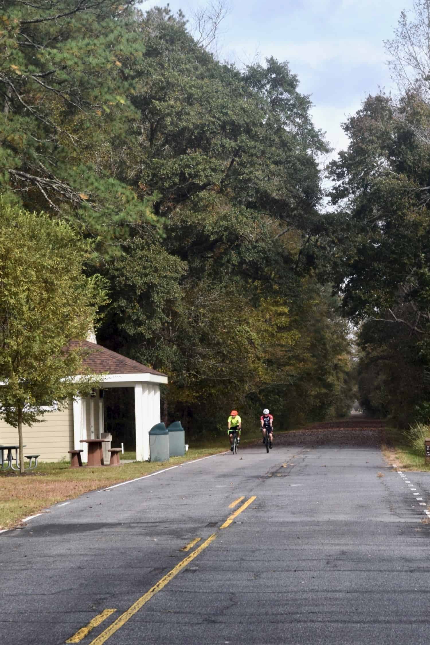 Bikes on Dismal Swamp path