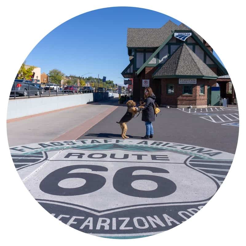 Woman and her dog on the historic Route 66 sidewalk mural in Flagstaff, Arizona