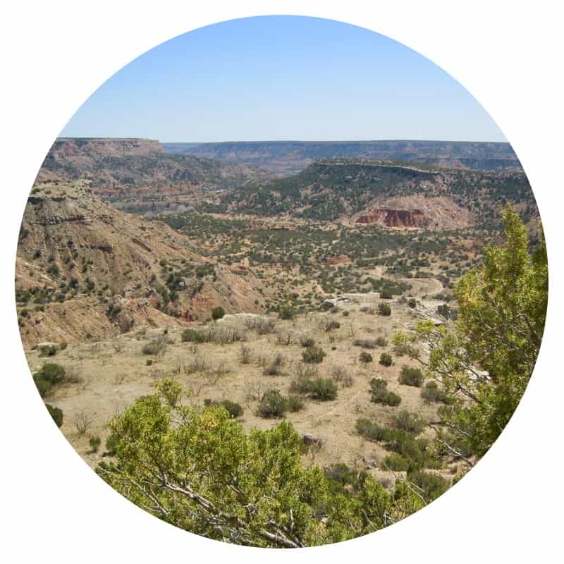 Pet friendly Palo Duro Canyon along Route 66 in Amarillo, Texas