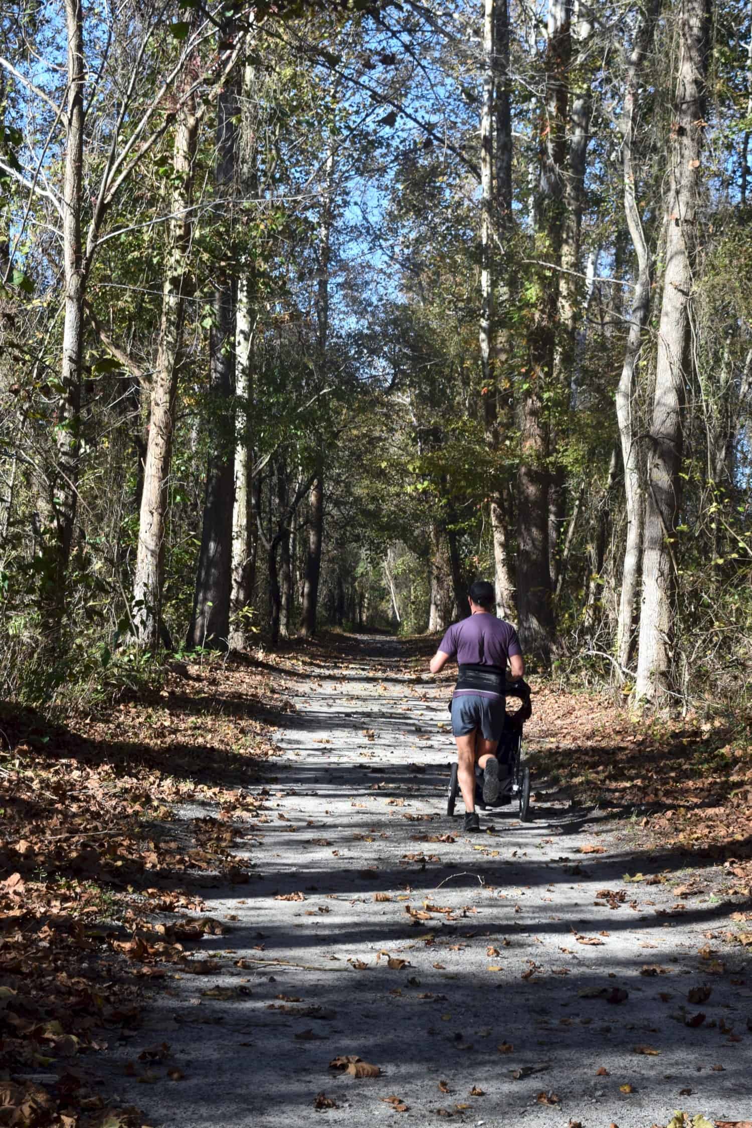 Runner on trail in pet friendly Great Dismal Swamp State Park