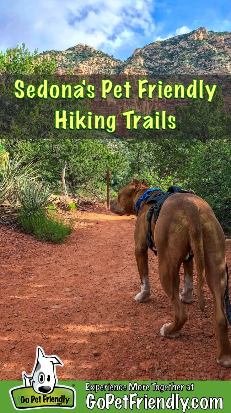 Pitbull dog, Hercules, on one of the dog friendly Sedona hiking trails