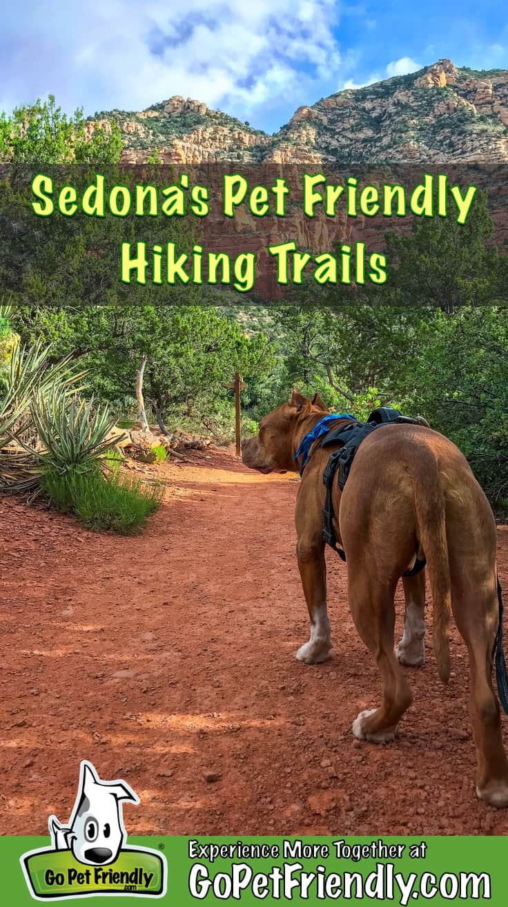 dog friendly hiking trails
