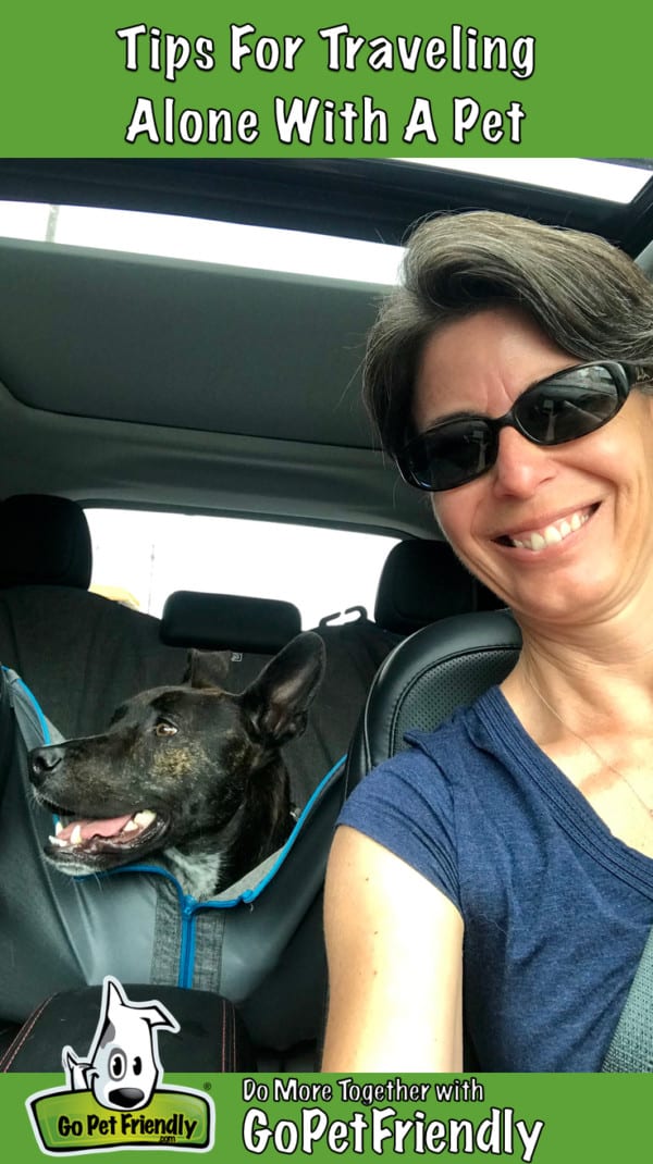 Woman in car with dog in backseat