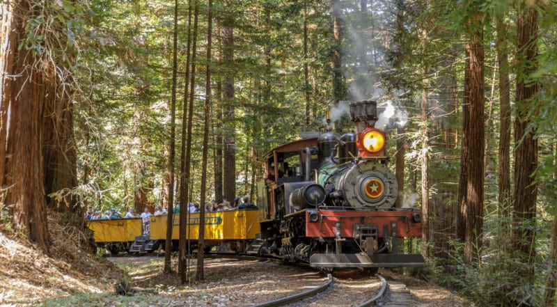Roaring Camp Steam Train in the forest near Santa Cruz, CA