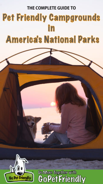 Woman and dog in a tent on the beach watching the sunset at a national park