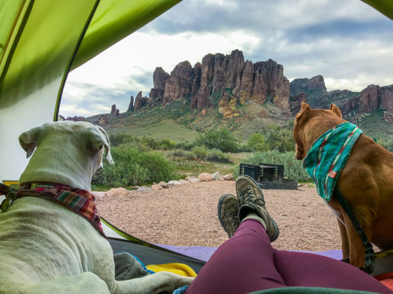 Woman's feet and two dogs camping in a tent with a view of a rock formation