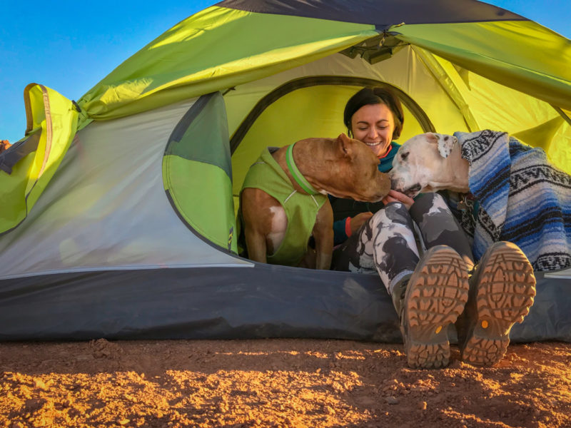 Woman n a tent with two dogs