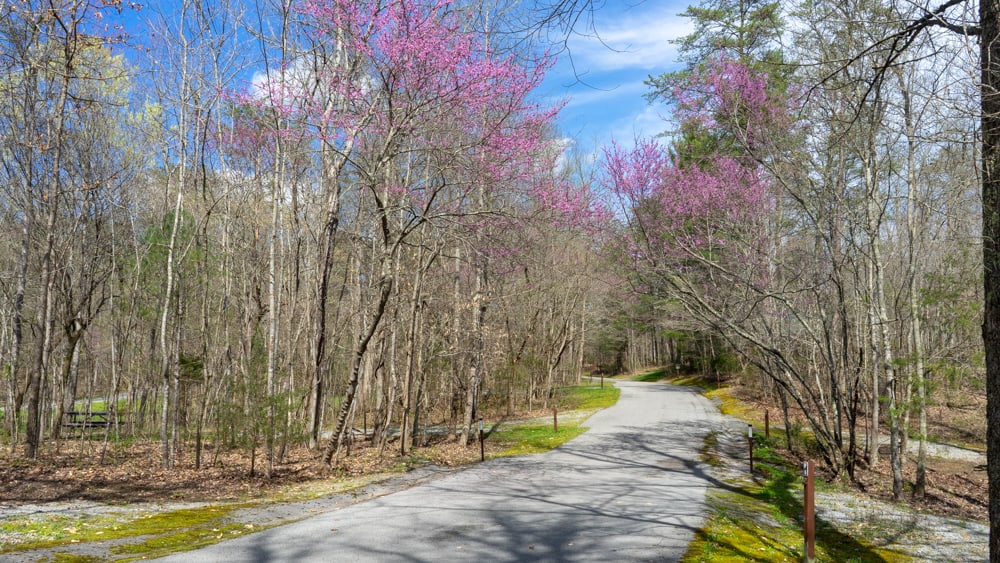 Wilderness Road Campground in Ewing, VA