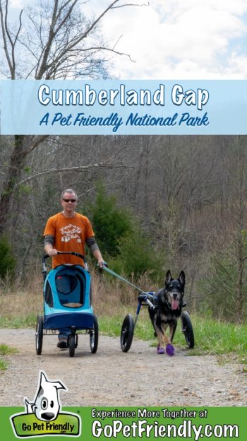 Man with dog walking a pet friendly trail at Cumberland Gap National Historic Park