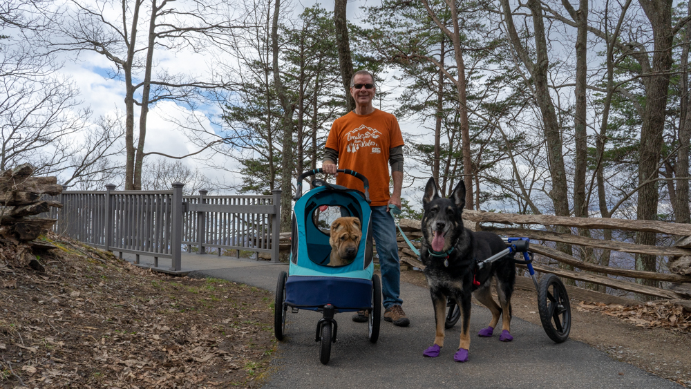 Man with two dogs on the pet friendly trail at Pinnacle Overlook in Cumberland Gap National Historic Park