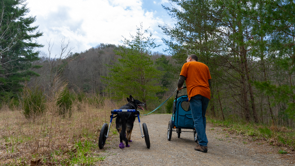 Man with dog walking a pet friendly trail at Cumberland Gap National Historic Park