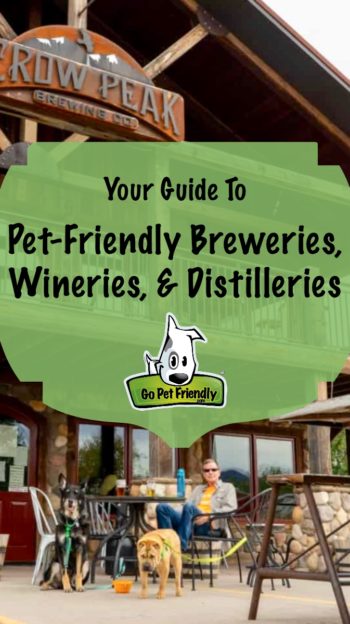 Guide to Pet-Friendly Breweries - dogs & person on patio at brewery