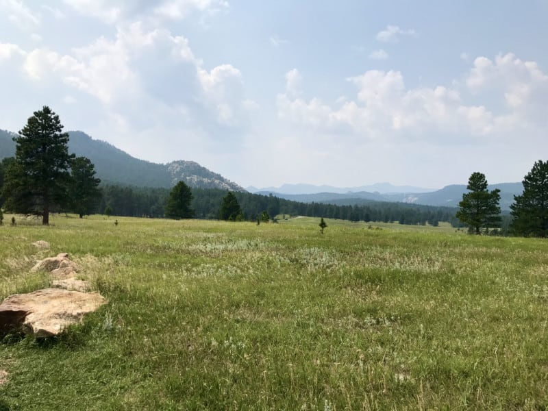 View from Iron Mountain Road in the Black Hills, South Dakota