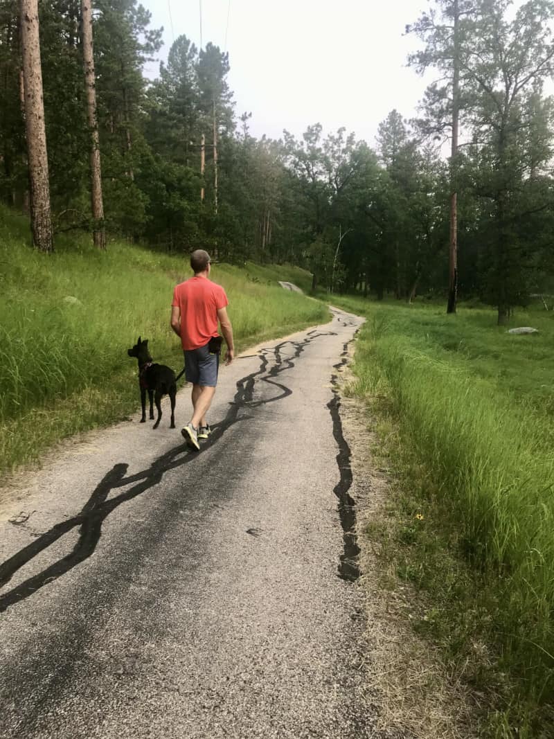 Man and dog walking on Creekside Trail in pet friendly Custer State Park, South Dakota
