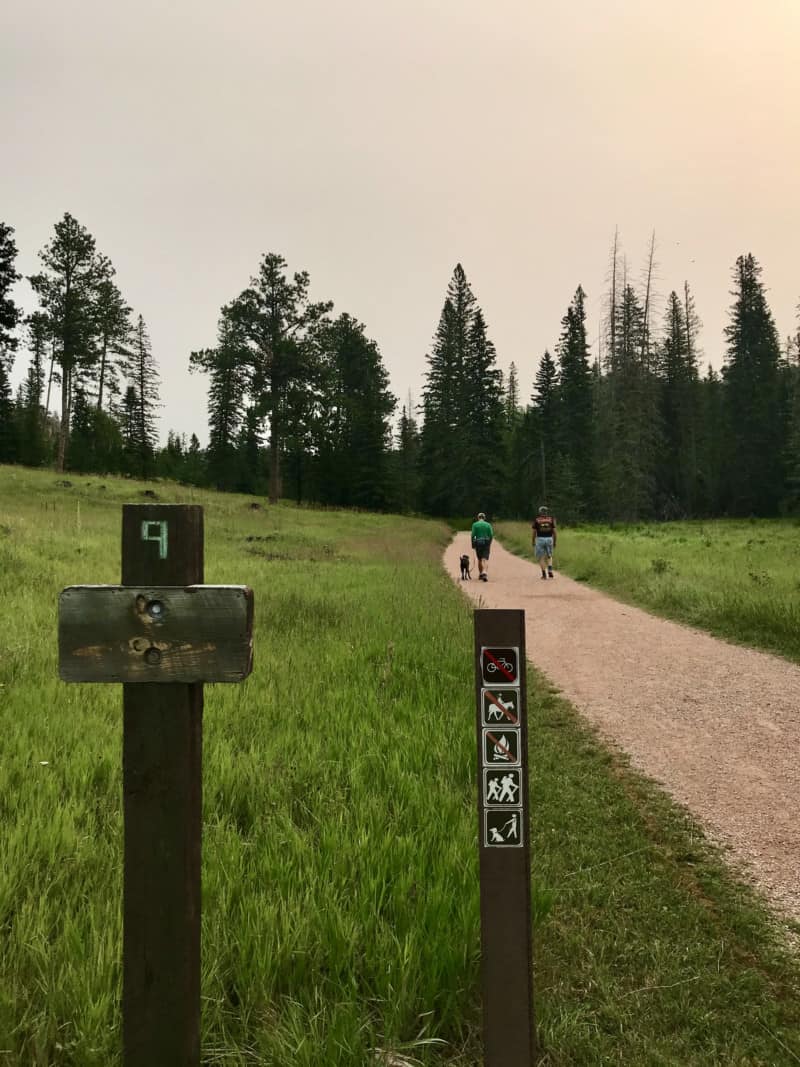 Two men and a brindle dog on pet friendly Trail #9 to Black Elk Peak in Custer State Park, South Dakota