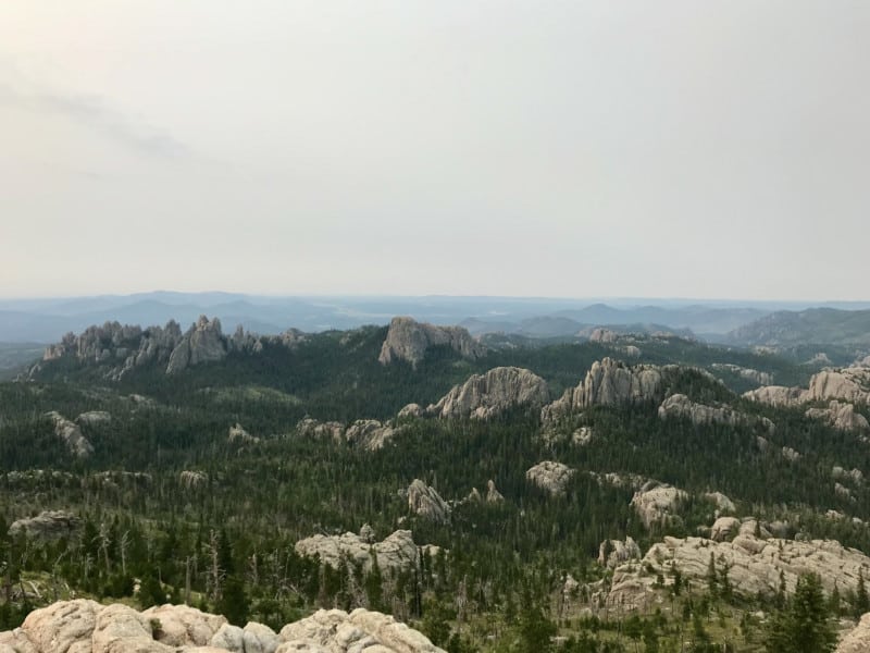 View from Black Elk Peak in the Black Hills, South Dakota