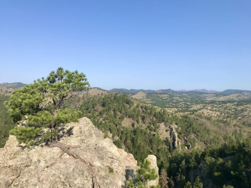 View from Lover's Leap in Custer State Park, South Dakota