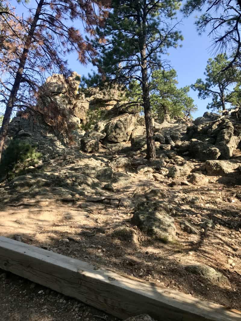 Pet Friendly Lover's Leap Trail in Custer State Park, South Dakota