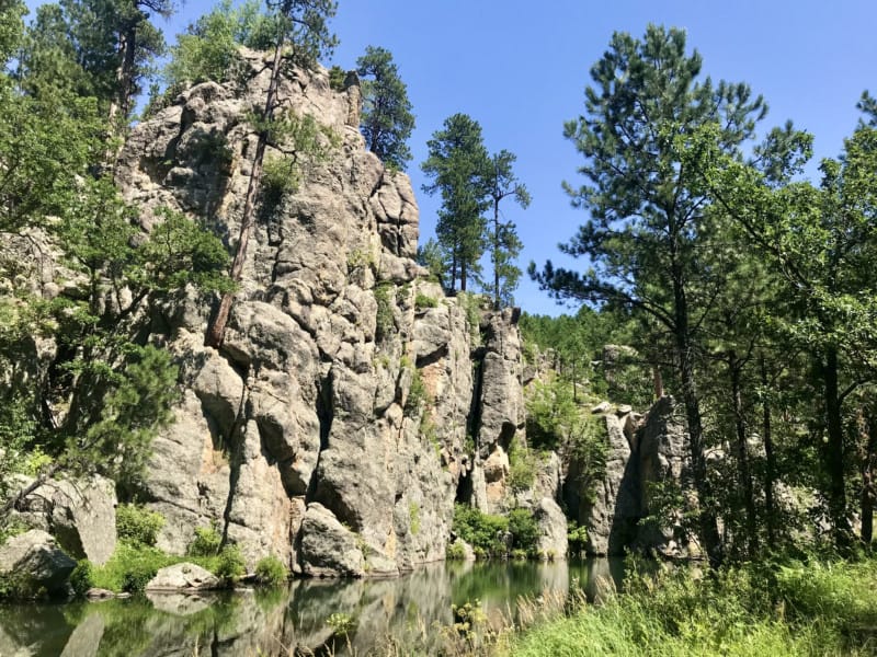 View from pet friendly Grace Coolidge Walk-in Trail at Custer State Park, South Dakota