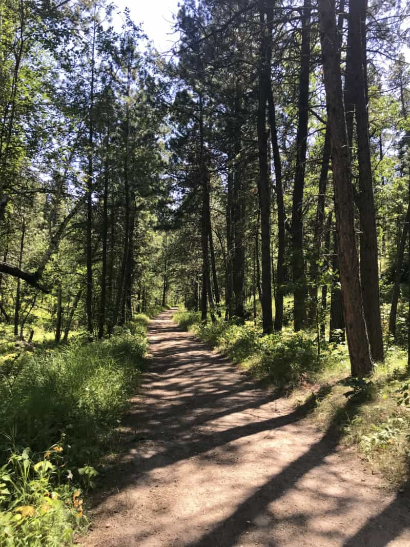 Pet friendly Grace Coolidge Walk-in Trail at Custer State Park, South Dakota