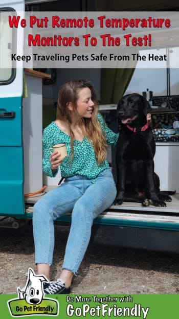 Woman and black dog sitting in the doorway of a small motorhome