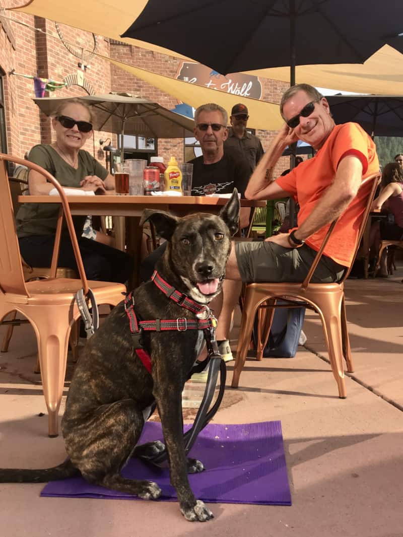 Brindle the dog, a woman and two men on the pet-friendly yard at Custer Wolf in Custer, SD