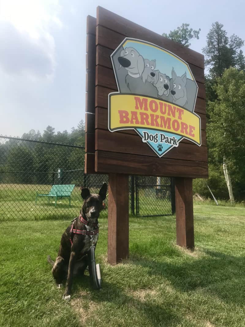 Brindle dog beside a sign for the Mount Barkmore Dog Park in Keystone, SD